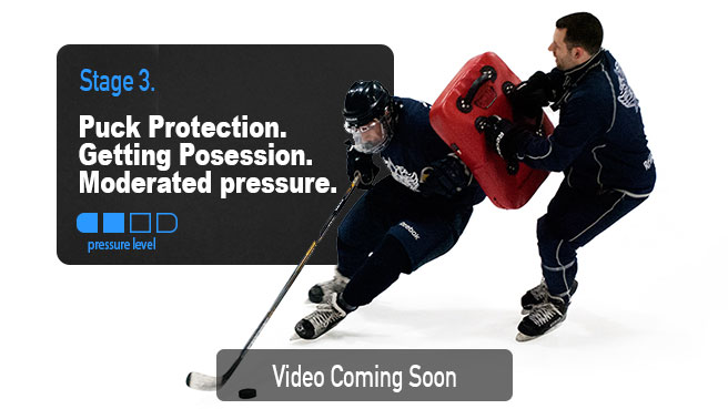 March Break Hockey Camp Puck Protection and Body Checking